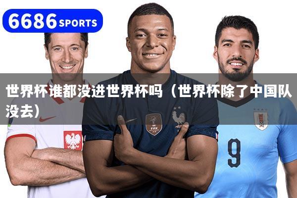 世界杯谁都没进世界杯吗（世界杯除了中国队没去）
